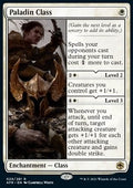 Paladin Class - Adventures in the Forgotten Realms (Rare) [AFR-29]