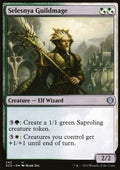 Selesnya Guildmage - Starter Commander Decks (Uncommon) [SCD-242]