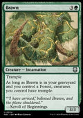 Brawn - Commander: Modern Horizons 3 (Uncommon) [M3C-224]