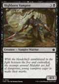 Highborn Vampire - Magic: The Gathering Foundations: Beginner Box (Common) [BFDN-522]