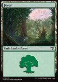 Forest (V.2) - Secrets of Strixhaven (Land) [SOS-280]
